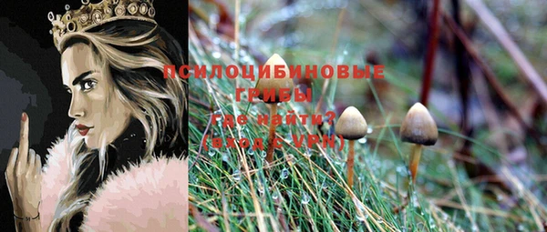 наркотики Бородино
