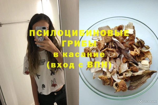 наркотики Бородино