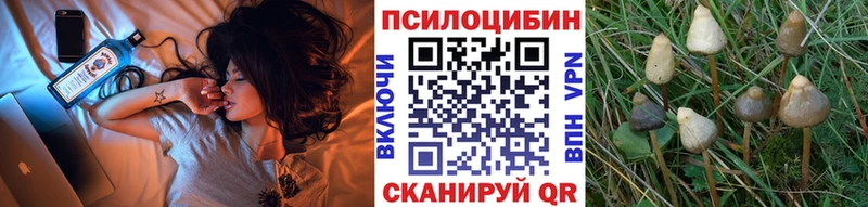 Галлюциногенные грибы мухоморы  Козьмодемьянск 